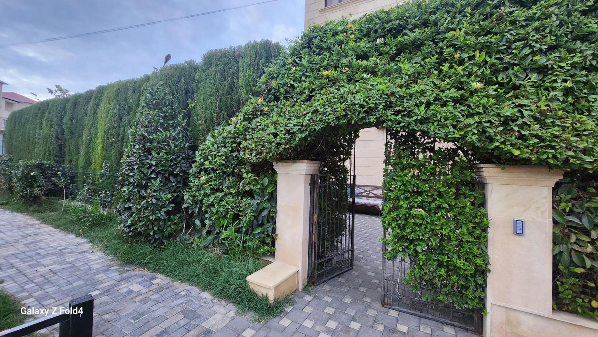 S Pollo By First Line Apartment Baku